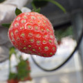 370060_20180501153211_01.JPG