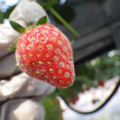 370060_20180501153220_01.JPG