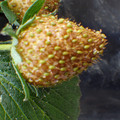 225001_20180202153310_01.JPG