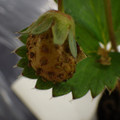 370030_20180703114700_01.JPG