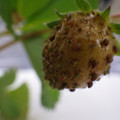 370030_20180703114941_01.JPG