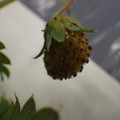 370030_20180703114958_01.JPG