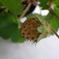 370030_20180703115003_01.JPG