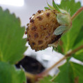 370030_20180703115018_01.JPG
