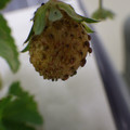 370030_20180703115030_01.JPG