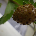 370030_20180703115043_01.JPG