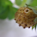 370030_20180703115049_01.JPG