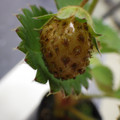 370030_20180703115152_01.JPG