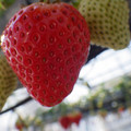 370040_20180223141446_01.JPG