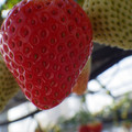 370040_20180223141455_01.JPG