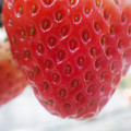 370040_20180227141155_01.JPG