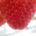 370040_20180227141200_01.JPG