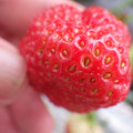 370040_20180319160857_01.JPG