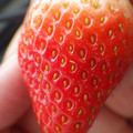 370040_20180319160950_01.JPG