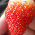 370040_20180319160958_01.JPG