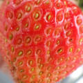 370040_20180319161437_01.JPG