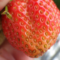 370040_20180319161511_01.JPG