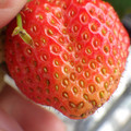 370040_20180319161519_01.JPG