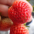 370040_20180319161749_01.JPG
