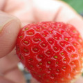 370040_20180319162006_01.JPG