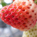 370040_20180319162210_01.JPG