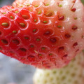 370040_20180319162233_01.JPG