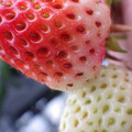370040_20180319162258_01.JPG