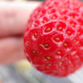 370040_20180319162329_01.JPG