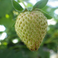 370040_20180410161744_01.JPG