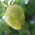 370040_20180410161758_01.JPG
