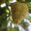 370040_20180410161827_01.JPG