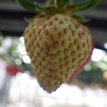370040_20180410161900_01.JPG