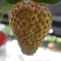 370040_20180410161931_01.JPG