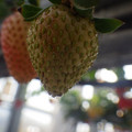 370040_20180410162018_01.JPG