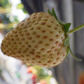 370040_20180410162117_01.JPG