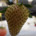 370040_20180410162230_01.JPG