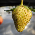 370040_20180410162236_01.JPG