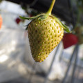 370040_20180410162246_01.JPG