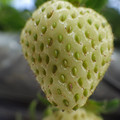 370040_20180410162303_01.JPG