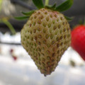 370040_20180410162322_01.JPG