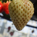 370040_20180410162412_01.JPG
