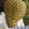 370040_20180410162503_01.JPG