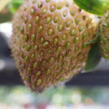 370040_20180410162553_01.JPG