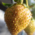 370040_20180410162609_01.JPG