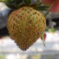 370040_20180410162637_01.JPG