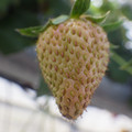 370040_20180410162821_01.JPG