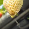 370040_20180410165553_01.JPG