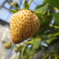 370040_20180410165623_01.JPG
