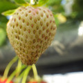 370040_20180410165630_01.JPG