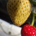 370040_20180410165645_01.JPG